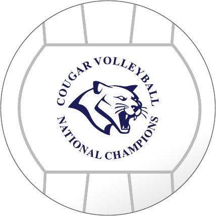 Ball - Mini Volleyball National Champions